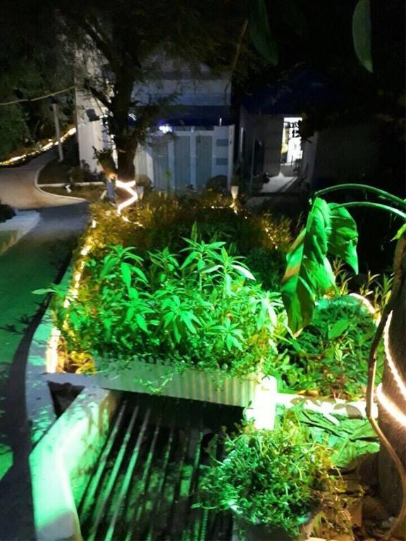 מואי נה Nostress Guest House מראה חיצוני תמונה