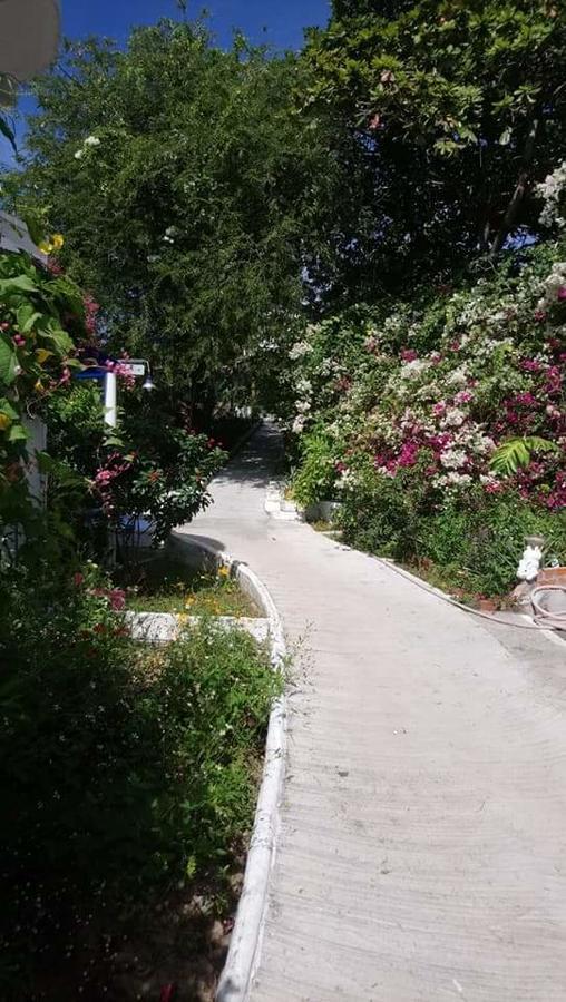 מואי נה Nostress Guest House מראה חיצוני תמונה